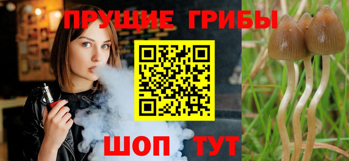 Белореченск  Псилоцибиновые грибы мицелий  цены наркотик  Вход с VPN 